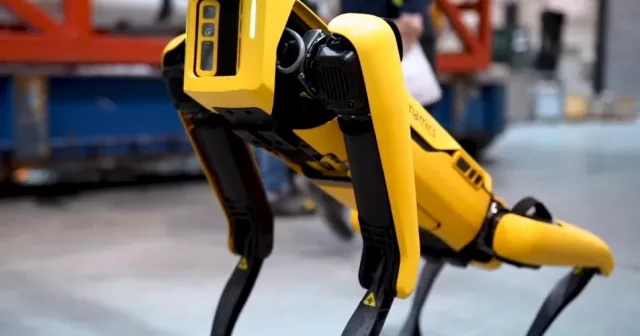 Il robot simile a un cane Spot riceve l'incarico di spaventare la fauna selvatica
